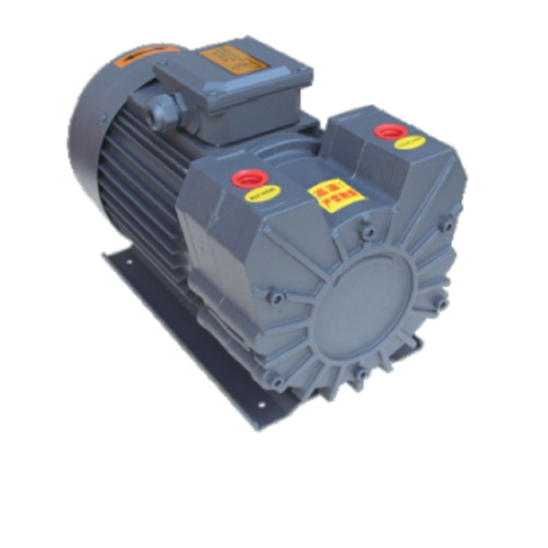 TXV3 oil free rotary vane vacuum pump