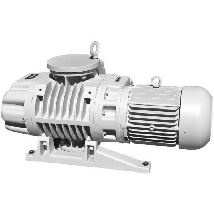 Vacuum Pump Roots Pump WS/WSU251 Mechanical Booster Pump Maintenance