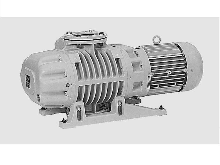 Mechanical booster pump, vacuum pump, roots pump, WS/WSU2001 maintenance