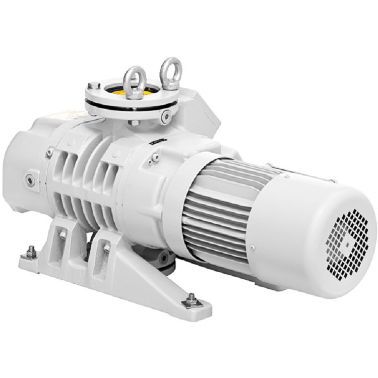 Mechanical booster pump, vacuum pump, roots pump, WS/WSU2001 maintenance