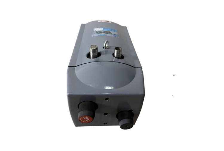 Oil free rotary vane vacuum pump