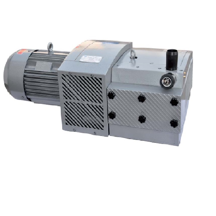 ZBW-E series self-lubricating rotary vane vacuum pump composite air pump ZBW60E 80E 100E 140E 160E 320E