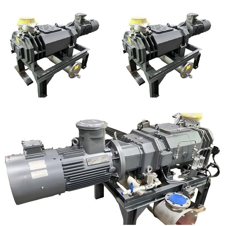 Oil-Free Screw Vacuum Pump | Advanced, Eco-Friendly, and Energy-Saving Solutions