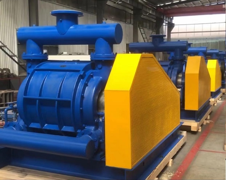 2BV6 Series Water Ring Vacuum Pumps and Compressors | Comprehensive Solutions for Industrial Applications