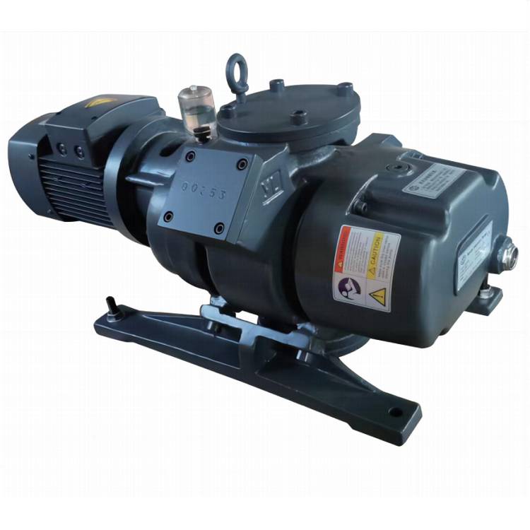 4 kW TRP-1000 Roots Booster Pump: High-Performance Oil-Free Vacuum Solution
