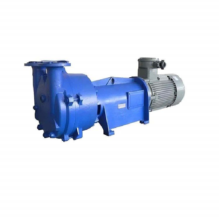 The Ultimate Guide to 2BV Series Liquid Ring Vacuum Pumps: Complete Analysis of Selection, Application, and Maintenance