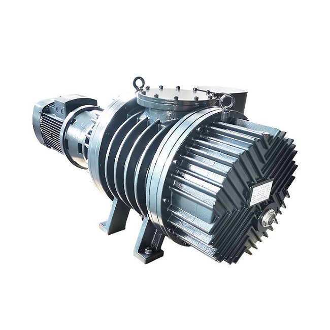 Practical cases of the advantages and disadvantages of Roots pumps